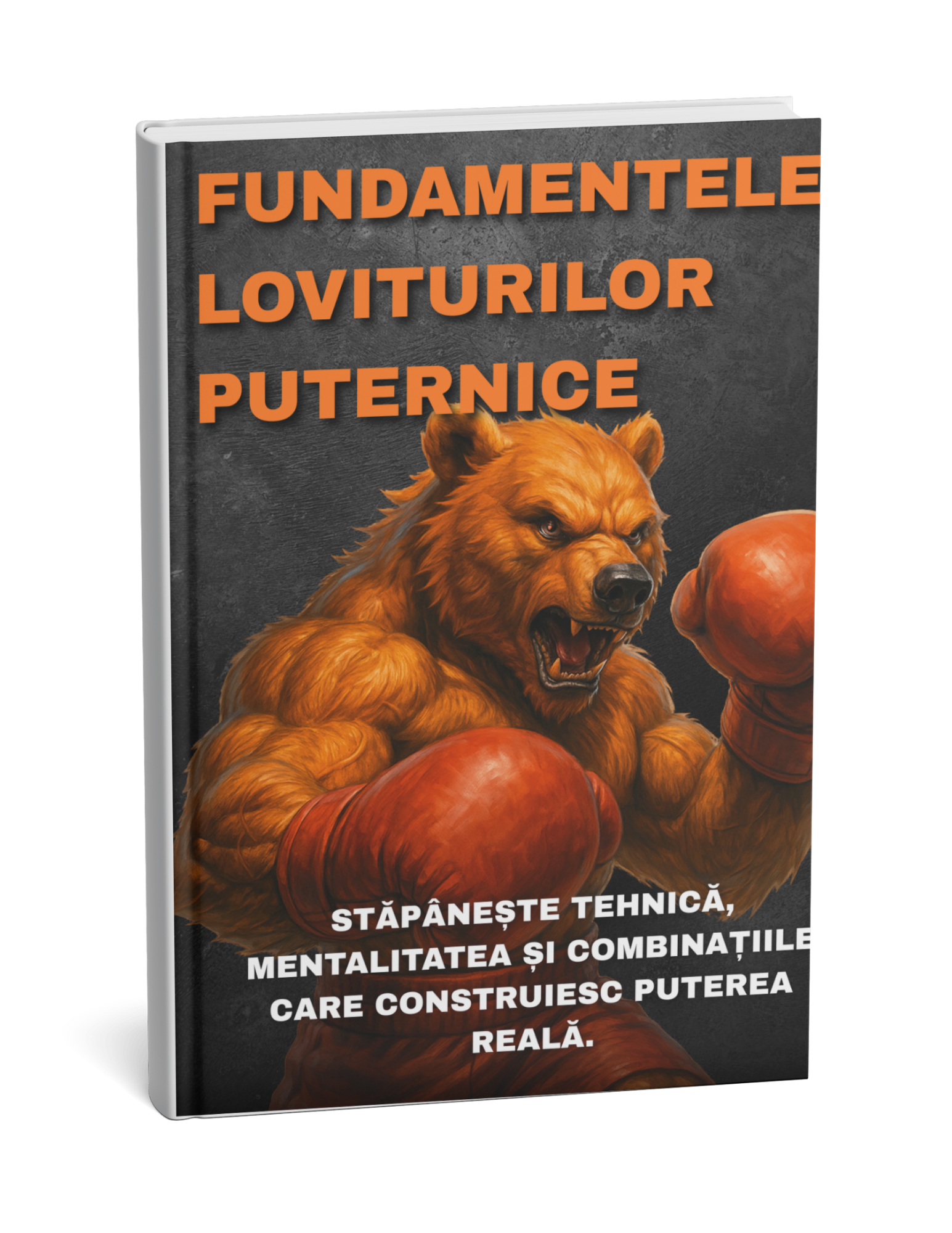 Fundamentele Loviturilor Puternice