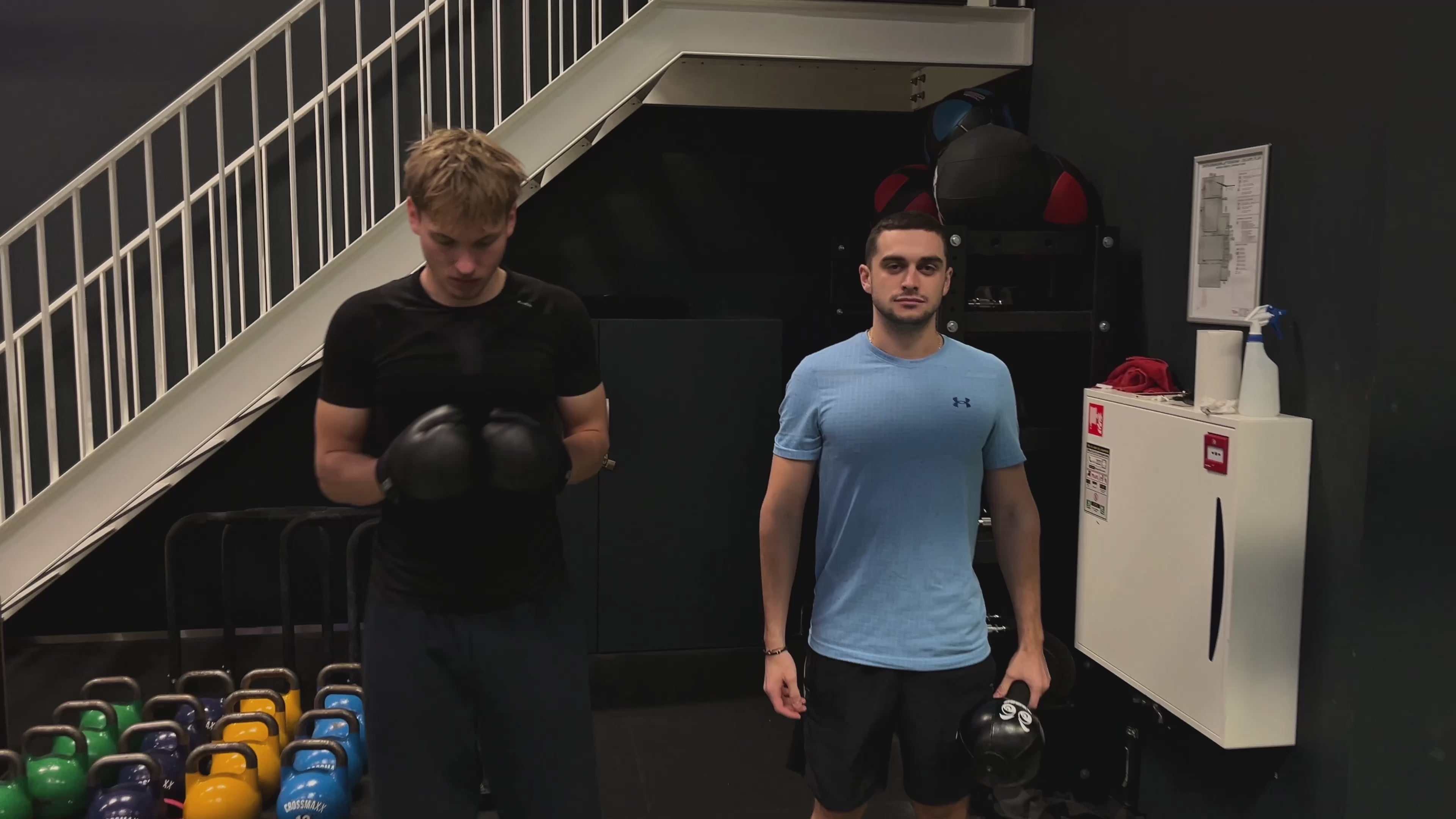 Bear-strike-smash-bag
